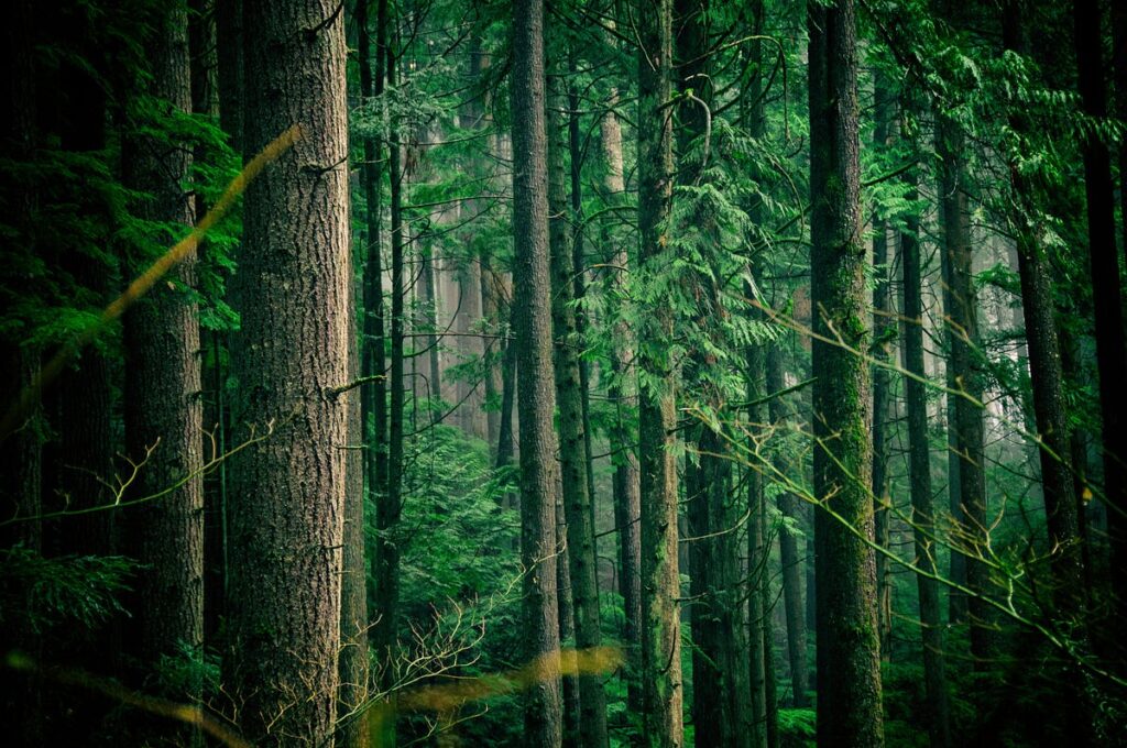 Come implementare la regressione casuale della foresta in PySpark | di Yasmine Hejazi | Settembre 2023
| Intelligenza-Artificiale Come implementare la regressione casuale della foresta in PySpark | di Yasmine Hejazi | Settembre 2023
| Intelligenza-Artificiale