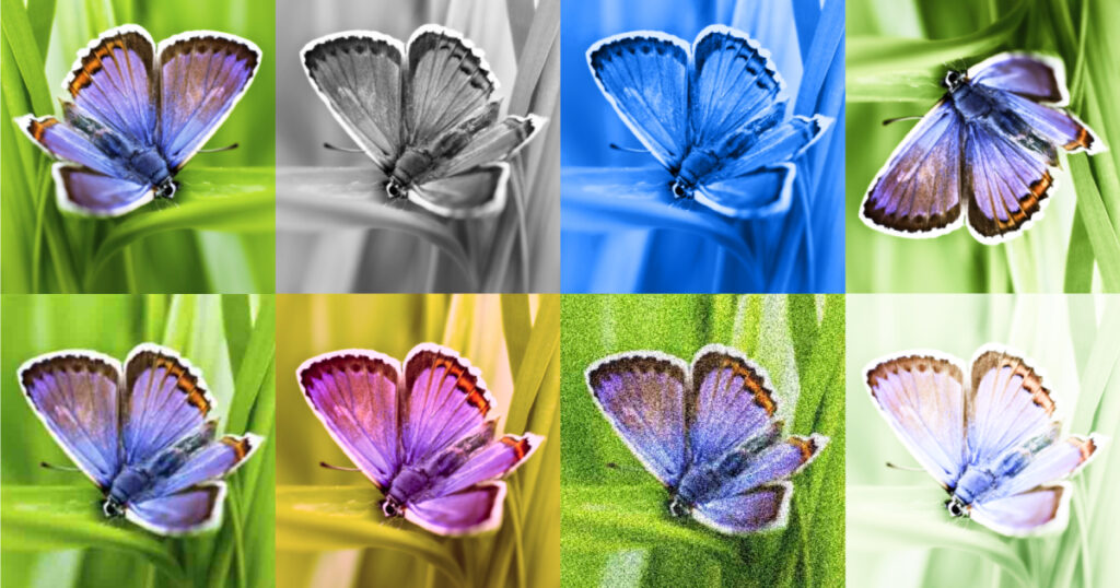 Identificazione delle immagini generate dall’intelligenza artificiale con SynthID

 | Intelligenza-Artificiale