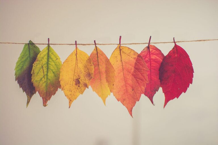 In che modo un albero decisionale risolve esattamente un problema di regressione?  |  di Gurjinder Kaur |  Novembre 2023

 | Intelligenza-Artificiale