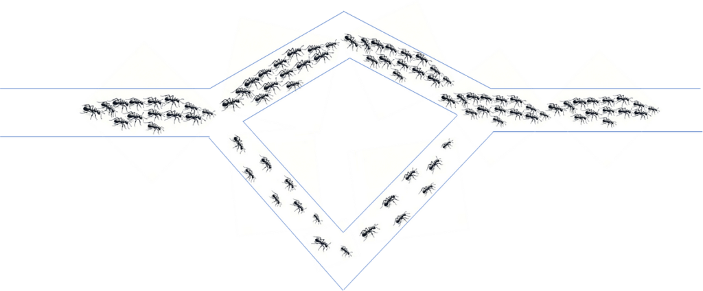 Ottimizzazione delle colonie di formiche: intuizione, codice e visualizzazione |  di James Koh, Ph.D. |  Gennaio 2024

 | Intelligenza-Artificiale