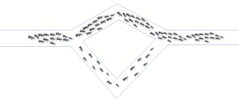 Ottimizzazione delle colonie di formiche: intuizione, codice e visualizzazione |  di James Koh, Ph.D. |  Gennaio 2024

 | Intelligenza-Artificiale