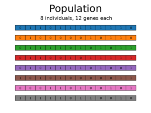 Selezione efficiente delle funzionalità tramite algoritmi genetici |  di Florin Andrei |  Gennaio 2024

 | Intelligenza-Artificiale