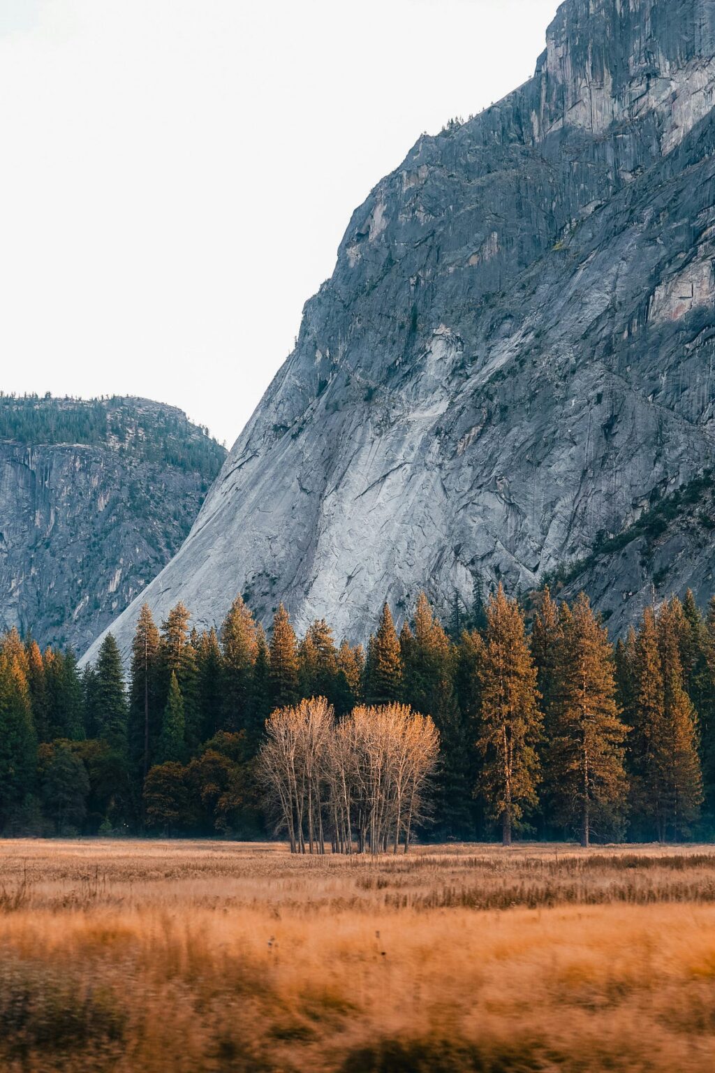 Attenzione flash (attenzione esatta veloce ed efficiente in termini di memoria con consapevolezza IO): un'analisi approfondita |  di Anish Dubey |  Maggio 2024
 | Intelligenza-Artificiale Attenzione flash (attenzione esatta veloce ed efficiente in termini di memoria con consapevolezza IO): un'analisi approfondita |  di Anish Dubey |  Maggio 2024
 | Intelligenza-Artificiale