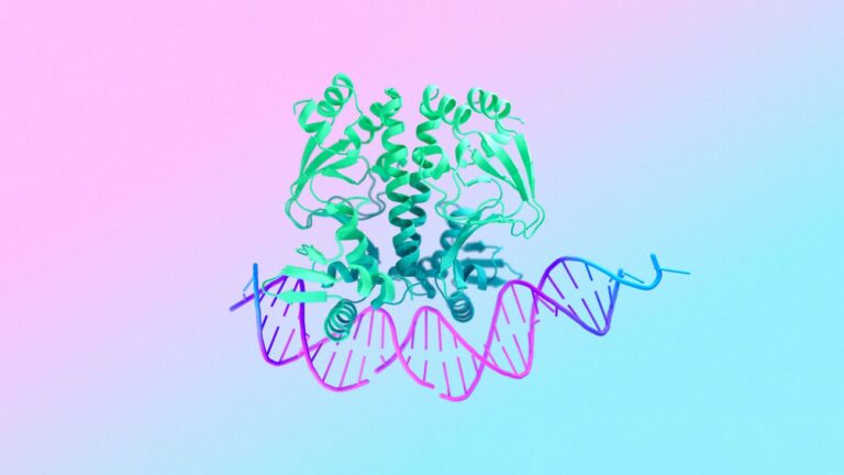 Google DeepMind e Isomorphic Labs introducono il modello AI AlphaFold 3

 | Intelligenza-Artificiale