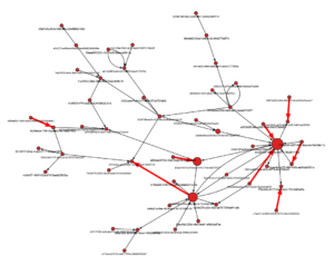 Migliora la tua rete con la potenza di un DB grafico

 | Intelligenza-Artificiale