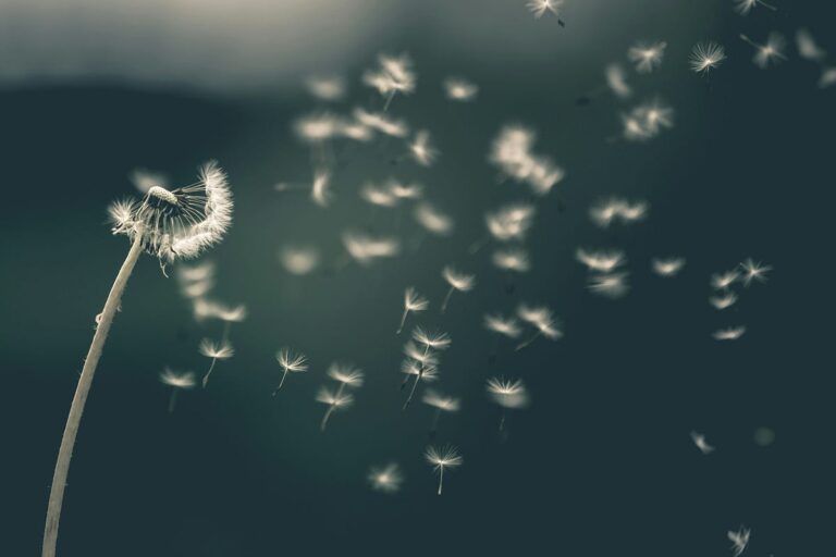 La trappola degli sprint: non essere come Scarlett O'Hara.  Pensa oggi!

 | Intelligenza-Artificiale