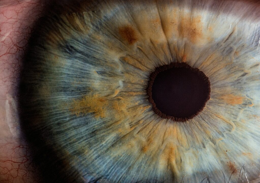 NVIDIA presenta gli ultimi progressi nell'intelligenza artificiale visiva

 | Intelligenza-Artificiale