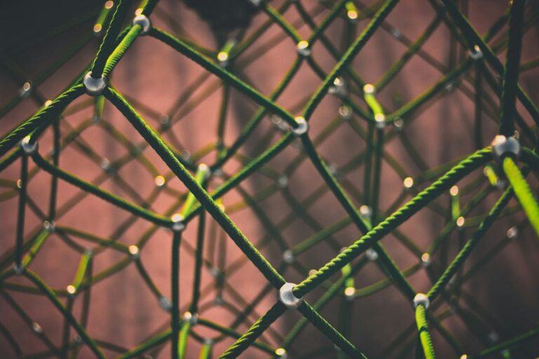 PAGA spiegato: astrazioni grafiche di dati a cella singola |  di Jamshaid Shahir, Ph.D |  Giugno 2024

 | Intelligenza-Artificiale