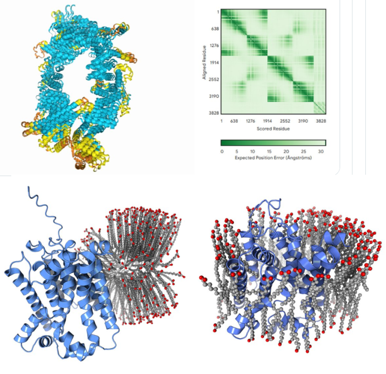 “Scintille di intuizione chimica” – e grossolani limiti! – in AlphaFold 3

 | Intelligenza-Artificiale