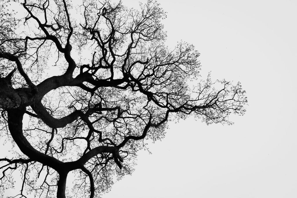 Utilizzo di alberi decisionali per l'analisi esplorativa dei dati |  di Gustavo Santos |  Giugno 2024

 | Intelligenza-Artificiale