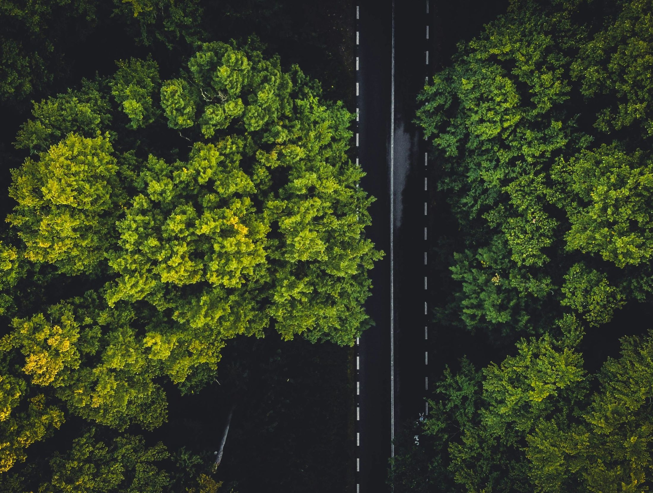 Il Regno Unito forma AI Energy Council per allineare gli obiettivi di crescita e sostenibilità
| Intelligenza-Artificiale Il Regno Unito forma AI Energy Council per allineare gli obiettivi di crescita e sostenibilità
| Intelligenza-Artificiale