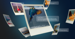 Esplorare il contesto delle immagini online con il retroscena

 | Intelligenza-Artificiale