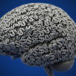 Il più recente modello Gemini 2.5 di Google mira a “intelligenza per dollaro”

 | Intelligenza-Artificiale