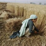 L’ascesa dell’agricoltura algoritmica? AI interviene

 | Intelligenza-Artificiale