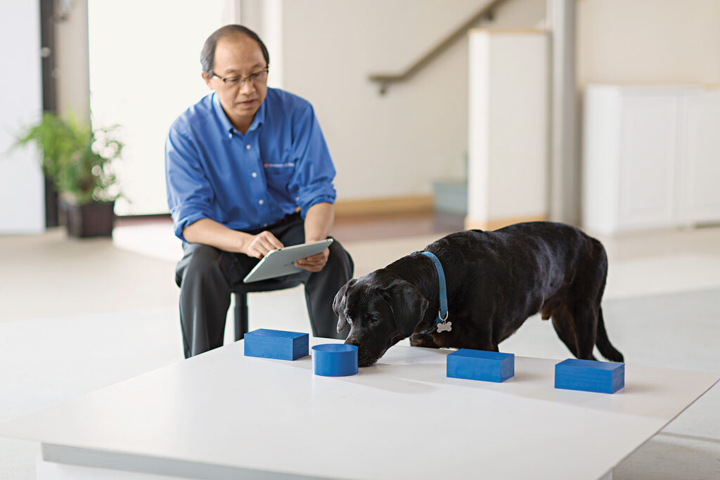 L’intelligenza artificiale causa la riduzione dell’attività cerebrale degli utenti – MIT
| Intelligenza-Artificiale L’intelligenza artificiale causa la riduzione dell’attività cerebrale degli utenti – MIT
| Intelligenza-Artificiale