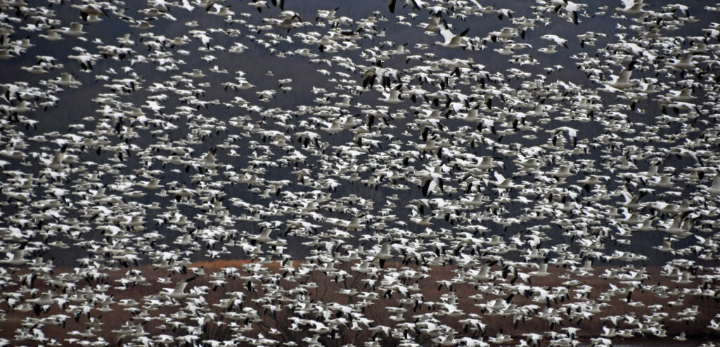 I professionisti della finanza quantitativa non sono informati quando si parla di intelligenza artificiale

 | Intelligenza-Artificiale