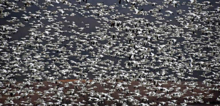 I professionisti della finanza quantitativa non sono informati quando si parla di intelligenza artificiale

 | Intelligenza-Artificiale