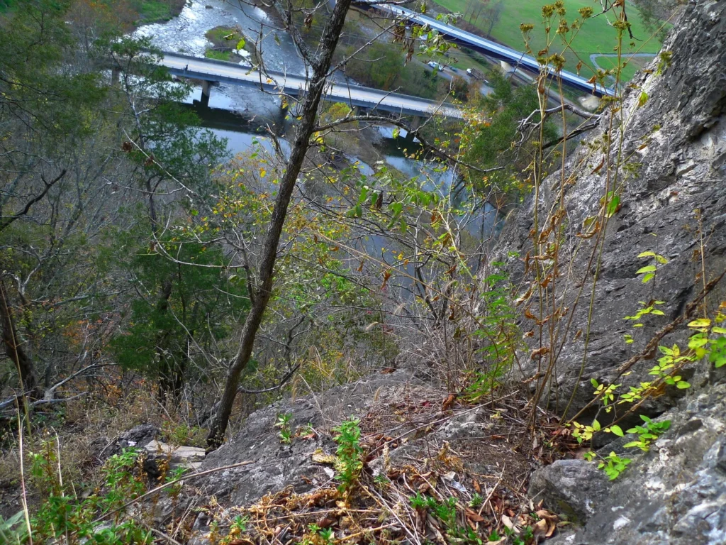 50.000 licenze Copilota per società di servizi indiane

 | Intelligenza-Artificiale