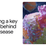 AlphaFold rivela una proteina chiave dietro le malattie cardiache

 | Intelligenza-Artificiale