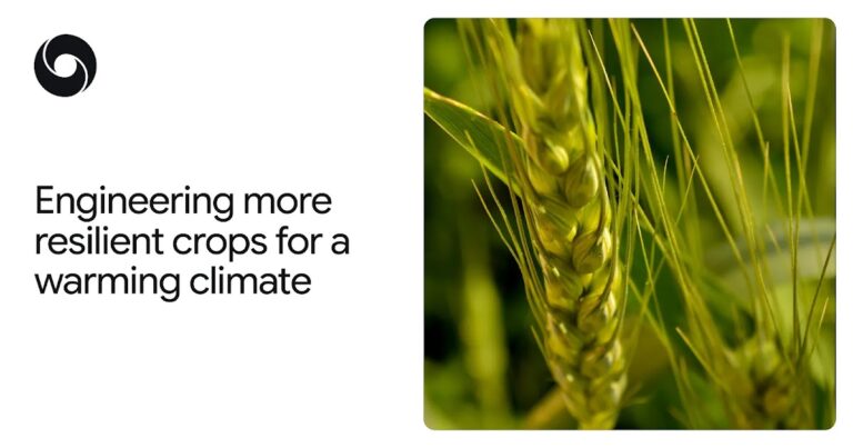 In che modo AlphaFold aiuta gli scienziati a progettare colture più resistenti al calore

 | Intelligenza-Artificiale