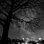 First Insight porta l’intelligenza artificiale conversazionale nel commercio al dettaglio

 | Intelligenza-Artificiale