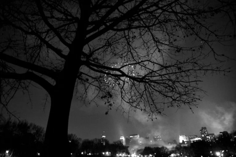 First Insight porta l’intelligenza artificiale conversazionale nel commercio al dettaglio

 | Intelligenza-Artificiale