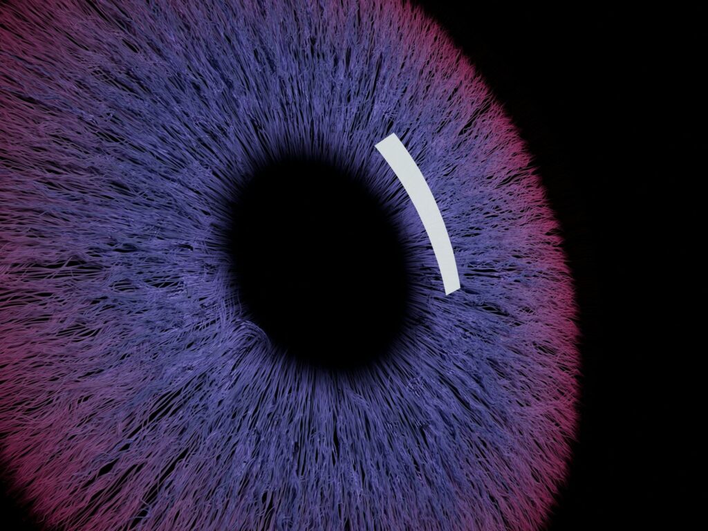 I family office si rivolgono all’intelligenza artificiale per ottenere informazioni dettagliate sui dati finanziari

 | Intelligenza-Artificiale