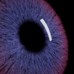 I family office si rivolgono all’intelligenza artificiale per ottenere informazioni dettagliate sui dati finanziari

 | Intelligenza-Artificiale