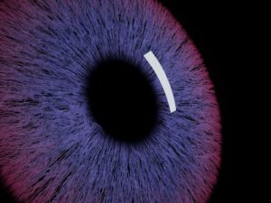 I family office si rivolgono all’intelligenza artificiale per ottenere informazioni dettagliate sui dati finanziari

 | Intelligenza-Artificiale