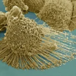 Proteggere i sistemi di intelligenza artificiale nelle condizioni di oggi e di domani

 | Intelligenza-Artificiale