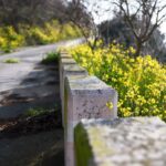 Asylon e Thrive Logic portano l’intelligenza artificiale fisica nella sicurezza perimetrale aziendale

 | Intelligenza-Artificiale