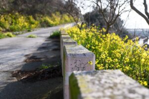 Asylon e Thrive Logic portano l’intelligenza artificiale fisica nella sicurezza perimetrale aziendale

 | Intelligenza-Artificiale