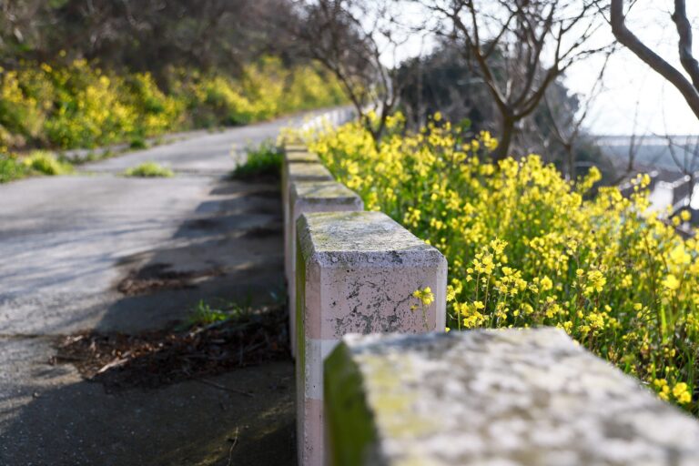 Asylon e Thrive Logic portano l’intelligenza artificiale fisica nella sicurezza perimetrale aziendale

 | Intelligenza-Artificiale