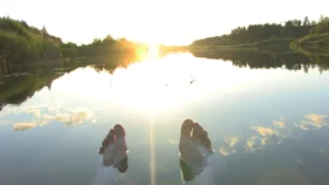 Flussi di lavoro basati sull’intelligenza artificiale per gli sviluppatori di software e necessità di supervisione

 | Intelligenza-Artificiale