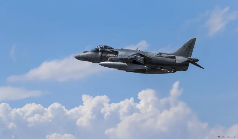 Gli sviluppatori Citizen ora hanno il proprio Wingman

 | Intelligenza-Artificiale